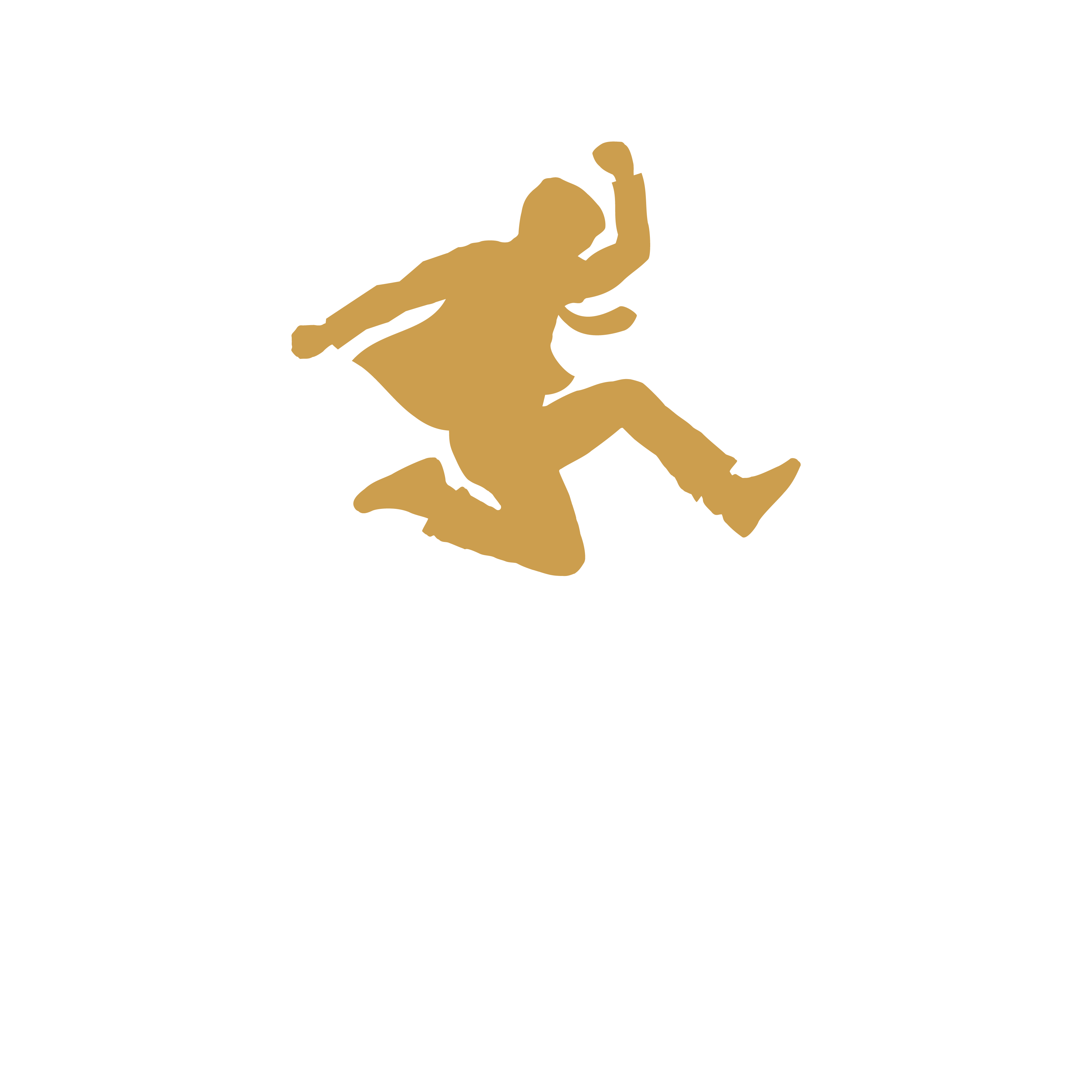 Persaltum Logo